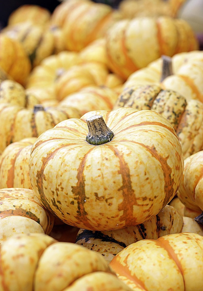 Pumpkin Comfort Foods